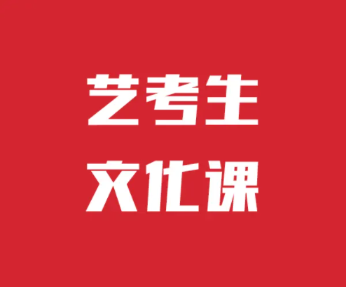高三艺考生文化课辅导学校
